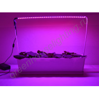 Светодиодная яркая фитолампа для рассады с ножками "Гакрукс"